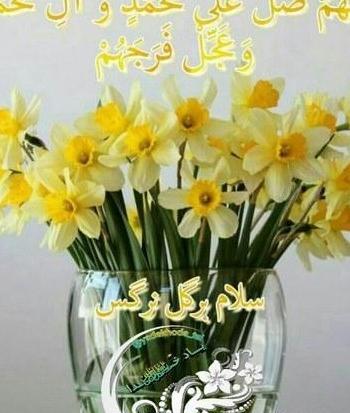 عکس گل با صلوات برای پروفایل