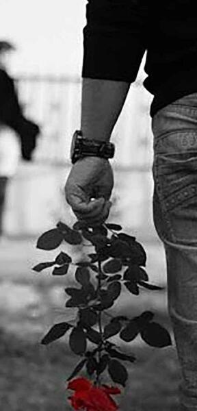 عکس گل برای پروفایل واتساپ پسرانه