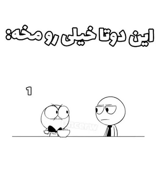 عکس گاو چین
