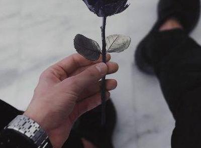 عکس گل برای پروفایل پسرانه