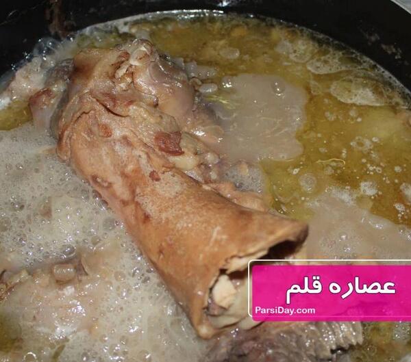 عکس قلم گاو