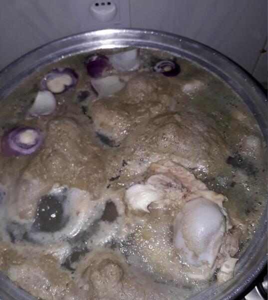 عکس قلم گاو