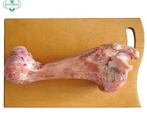 عکس قلم گاو