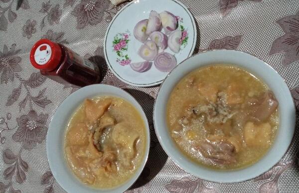 عکس قلم گاو