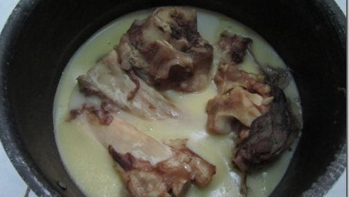 عکس قلم گاو