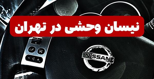 عکس نیسان ابی برای نقاشی