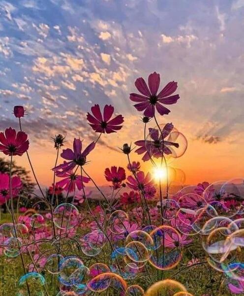 عکس پروفایل دخترونه منظره زیبا