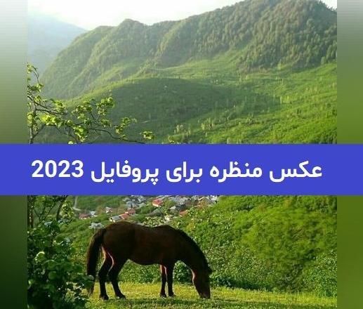 عکس پروفایل دخترونه منظره زیبا