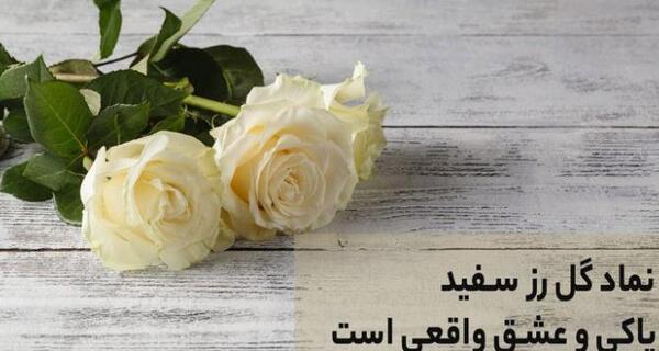 عکس گل در پروفایل نشانه چیست
