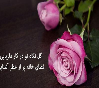 عکس گل در پروفایل نشانه چیست