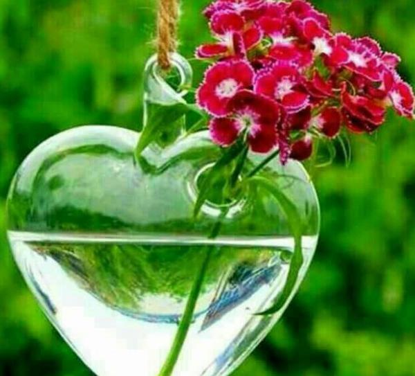 عکس گل قلب پروفایل