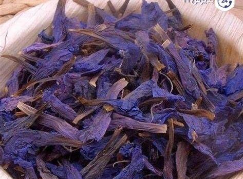 عکس گاو زبان گل