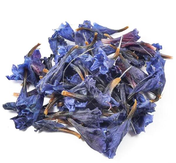 عکس گاو زبان گل