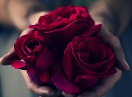عکس گل زیبا برای پروفایل پسرانه