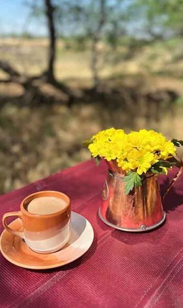 عکس گل زیبا برای پروفایل پسرانه