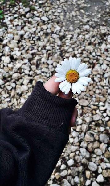 فانتزی عکس دختر با گل برای پروفایل