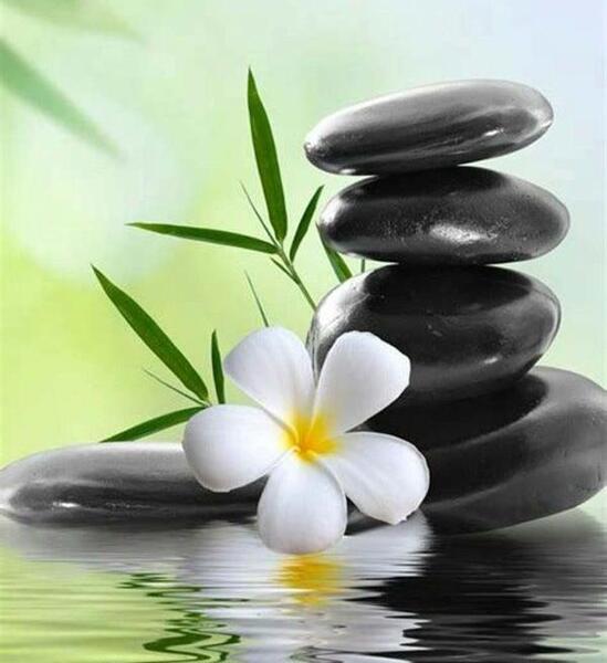 عکس گل برای پروفایل طبیعی