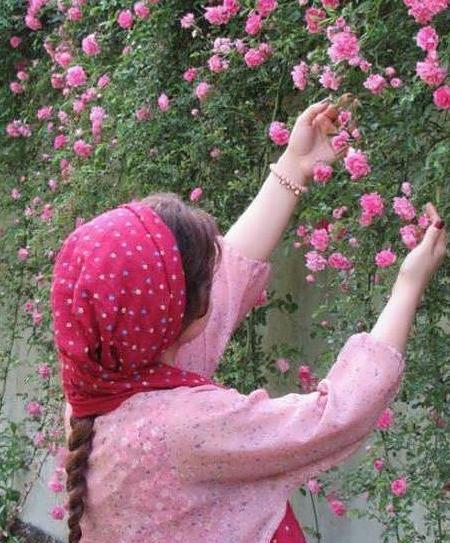 عکس گل برای پروفایل طبیعی