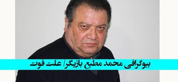 عکس واقعی کاملیا در نیسان آبی
