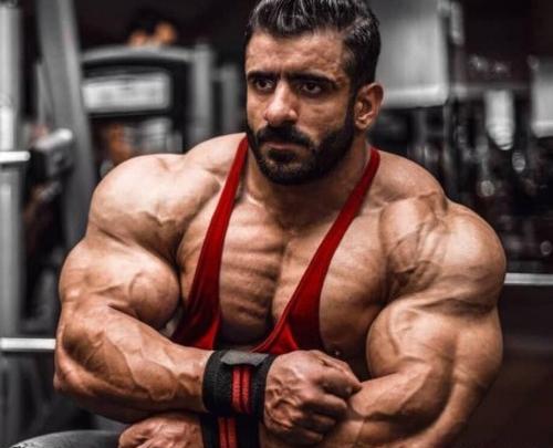 عکس سگ هادی چوپان