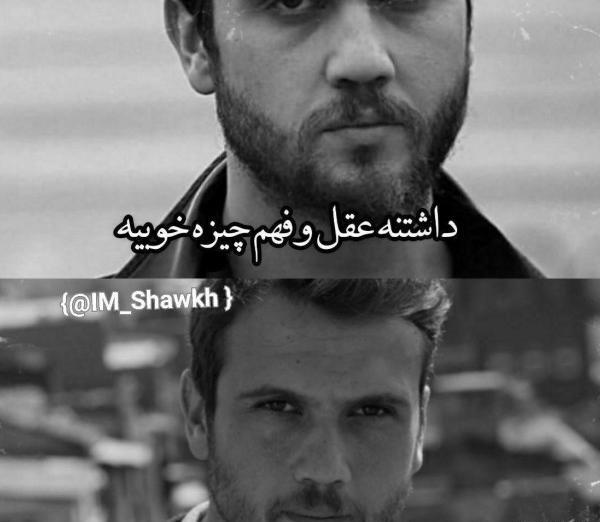 دانلود عکس یاماچ با تفنگ