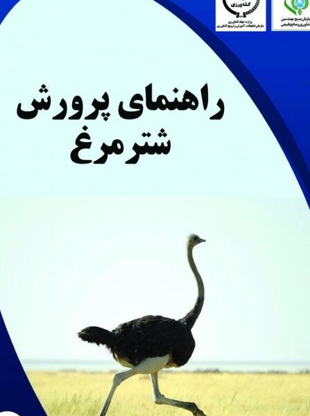 عکس گاو جرزی