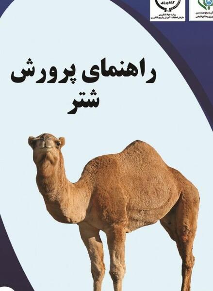 عکس گاو جرزی