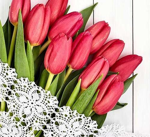 چندتا عکس گل زیبا برای پروفایل