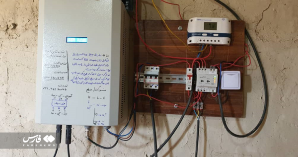 عکس دو شیر در حرم امام رضا