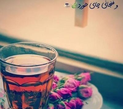 عکس گل برای پروفایل ایمو