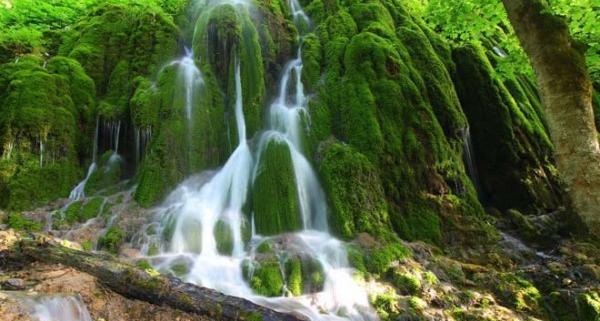 عکس پروفایل دخترونه زیبا عاشقانه