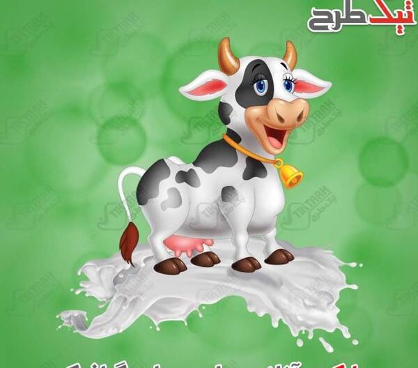 عکس یک گاو شیری