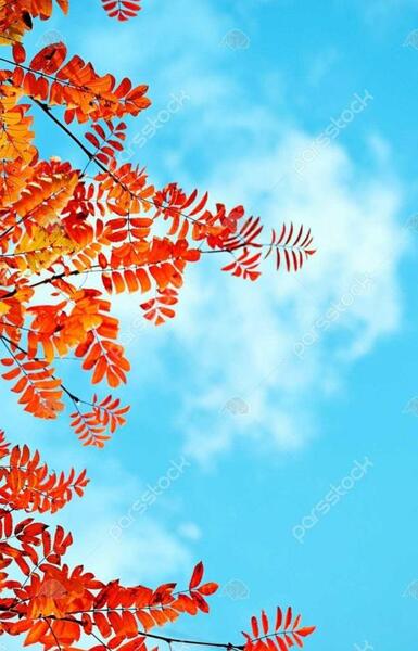 عکس برای تصویر زمینه گوشی روشن