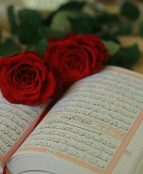 عکس گل برای روی پروفایل