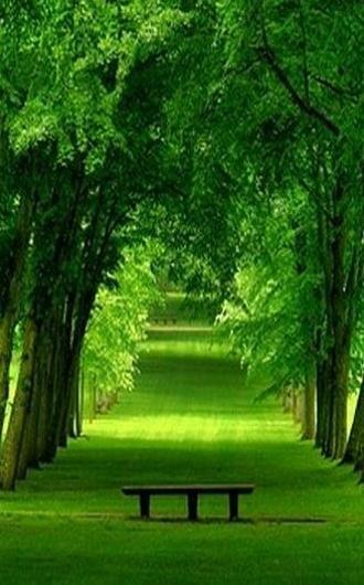 عکس تصویر زمینه برای گوشی نوکیا