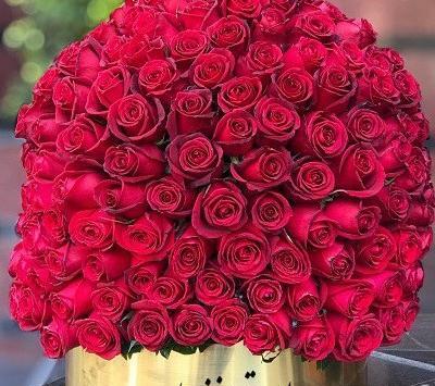 عکس گل زیبا برای پروفایل جدید