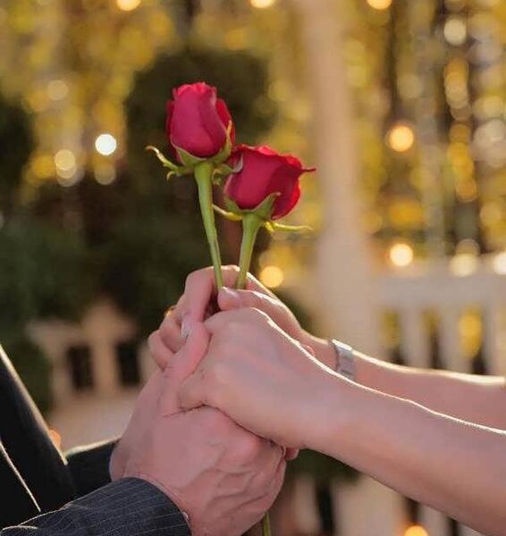عکس گل پروفایل عاشقانه