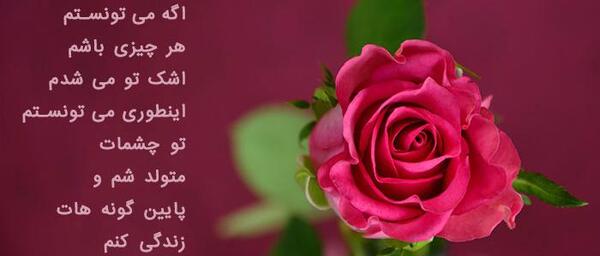عکس گل پروفایل عاشقانه