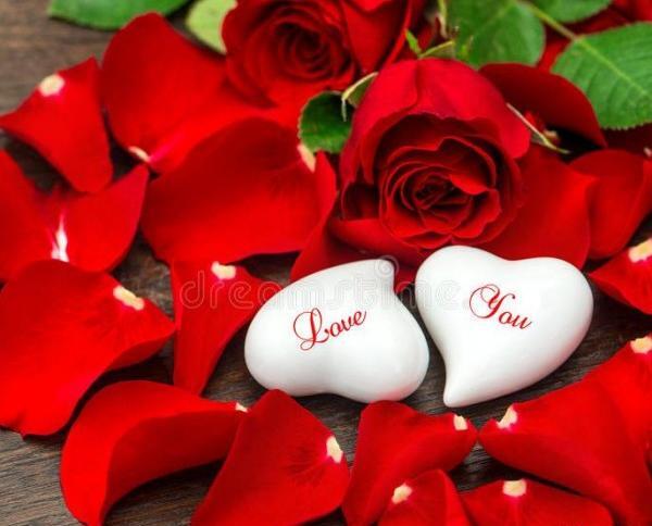 عکس گل پروفایل عاشقانه
