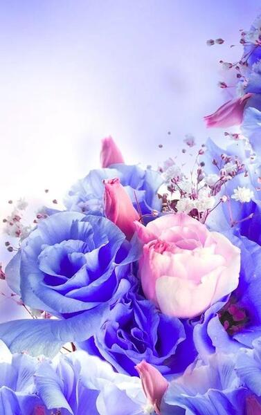 عکس برای تصویر زمینه گوشی گل