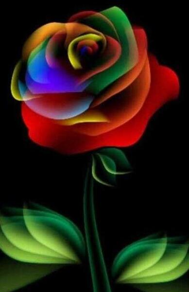 یک عکس زیبا برای تصویر زمینه گوشی