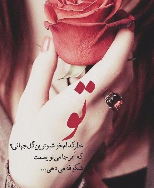 عکس گل برای پروفایل با نوشته