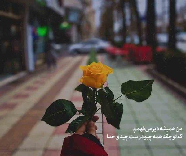 عکس گل برای پروفایل با نوشته