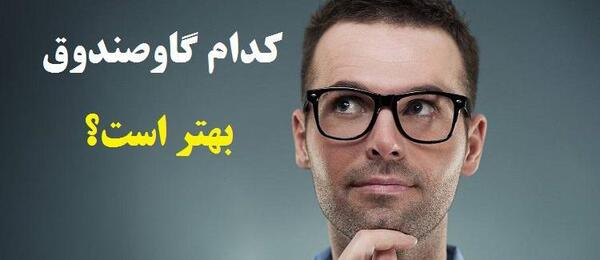 عکس گاوصندوق طلا
