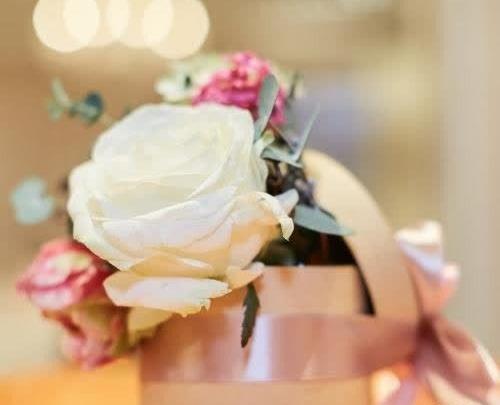 عکس گل برای پروفایل شاد دخترونه