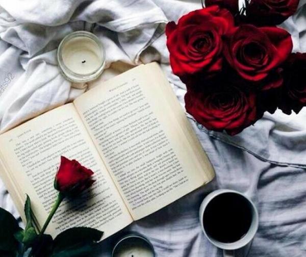 گالری عکس گل برای پروفایل
