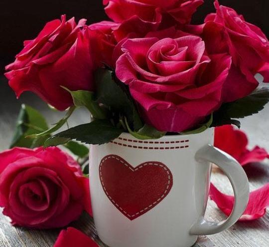 عکس گل برای پروفایل گروه دوستانه