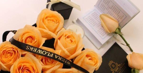 عکس گل نارنجی برای پروفایل