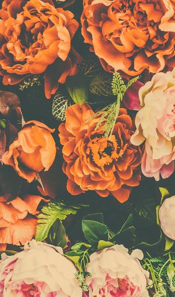 عکس گل نارنجی برای پروفایل