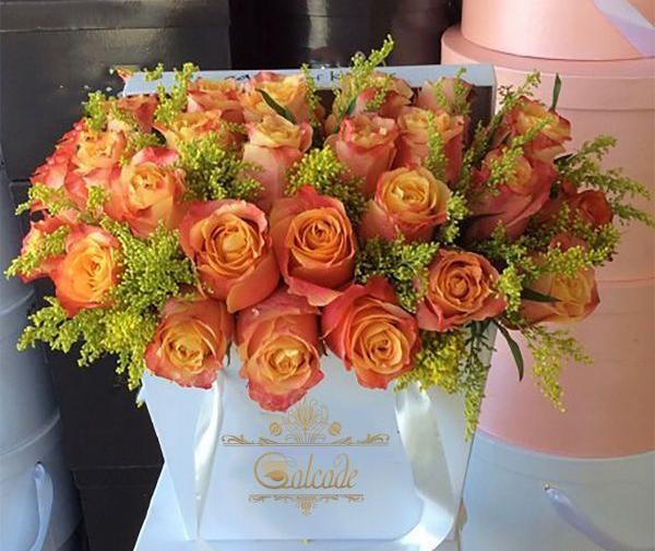 عکس گل نارنجی برای پروفایل